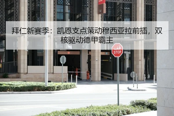 拜仁新赛季：凯恩支点策动穆西亚拉前插，双核驱动德甲霸主